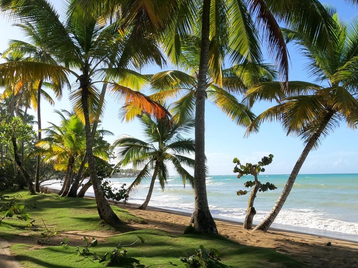 Hotel Bahia Punta Bonita Лас Терренас Экстерьер фото